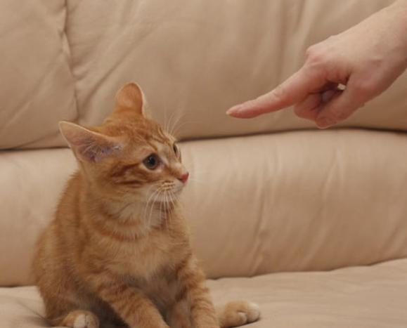 Воспитательный процесс