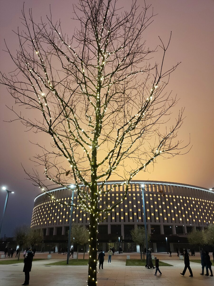 из личного архива, парк Галицкого, январь 2021