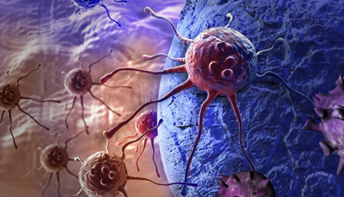 Фото взято из интернета