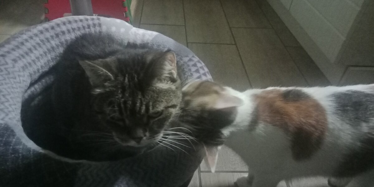  Фото автора.