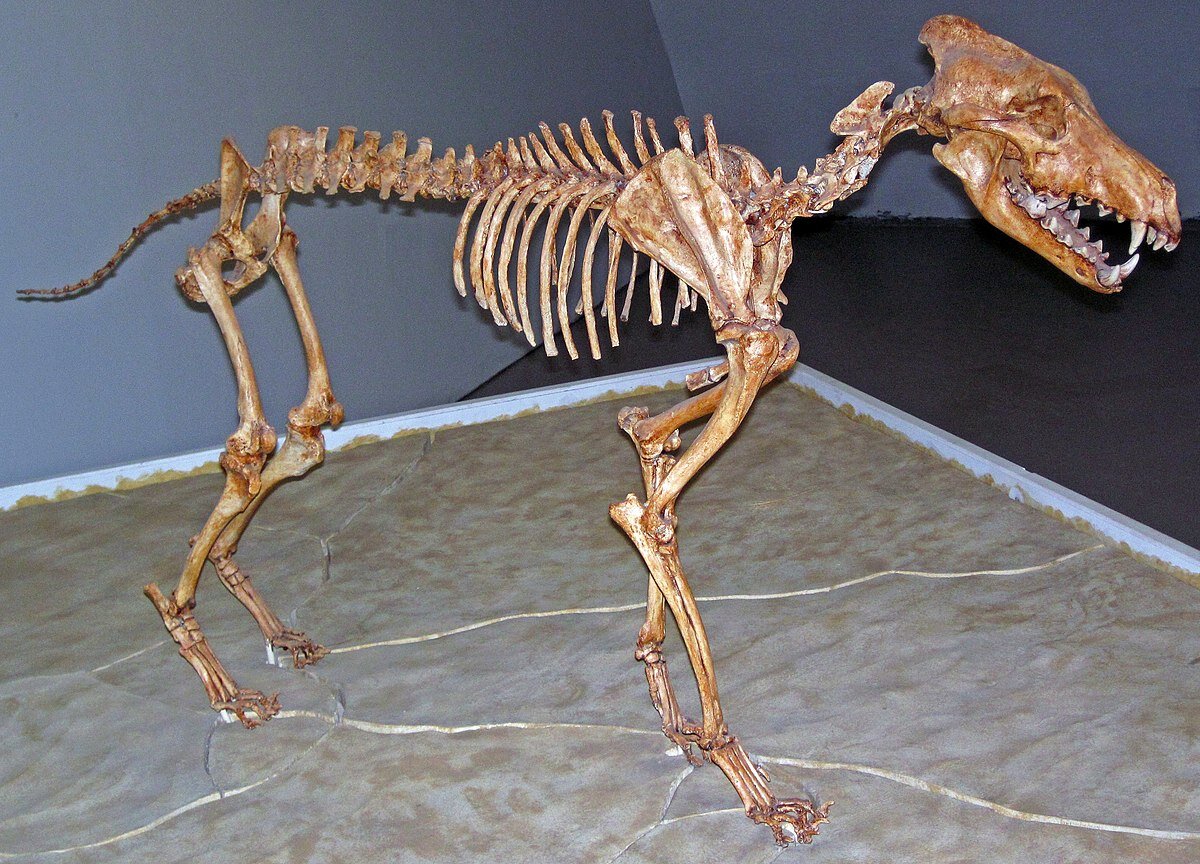 -2