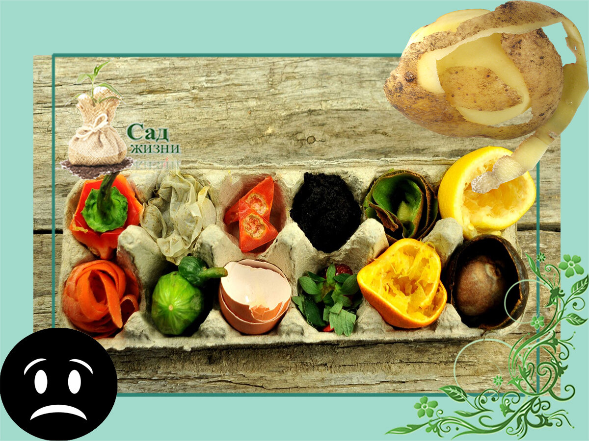 Откуда корни растут у привычки собирать очистки