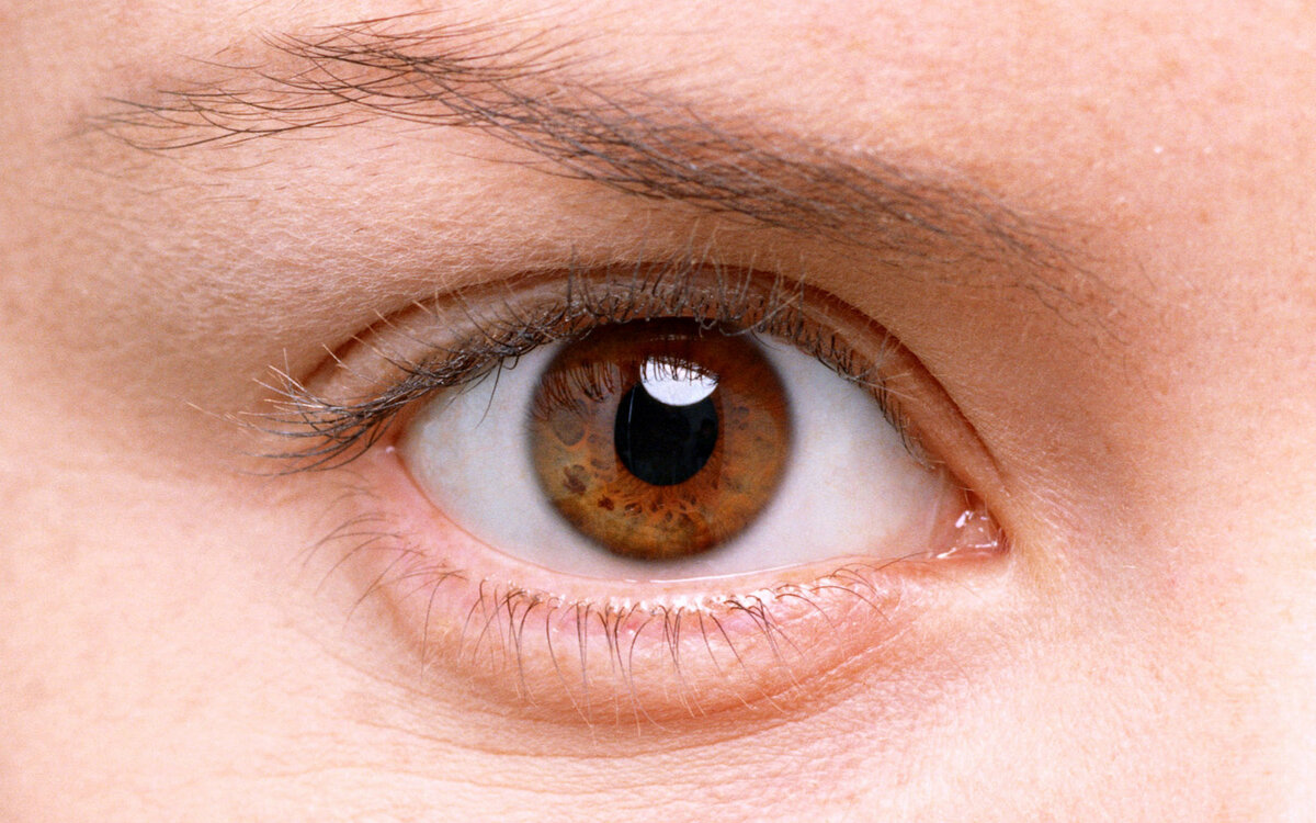 Фото заимствовано из открытых источников.