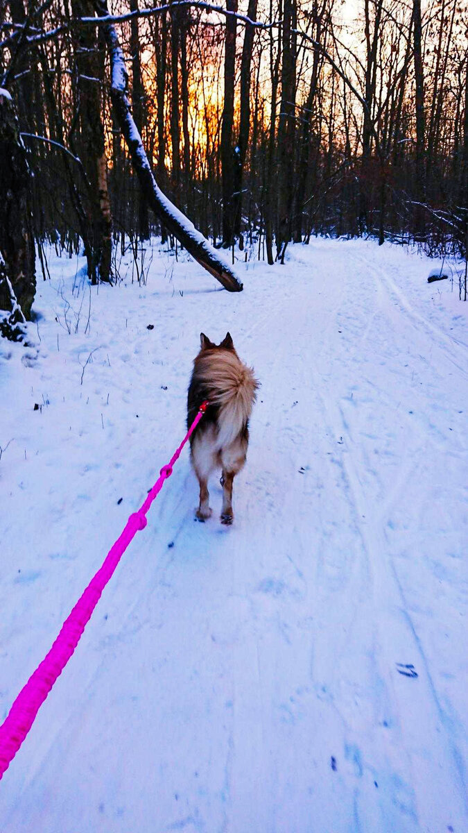 Айвуша лыжница! 