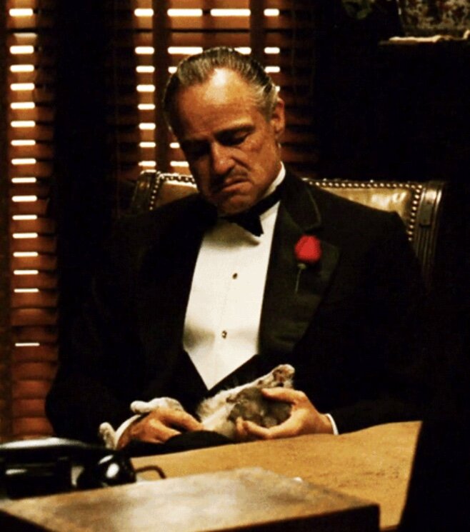 Добрый день,любимые подписчики и гости канала❤️ Давайте посмотрим какое у него отношение к вам сегодня.Расклад общий,проиграться может не у всех,для личного расклада пишите в вотсап или вайбер +79099809969.
Подписывайтесь на канал,ставьте лайки,пишите комментарии 😘