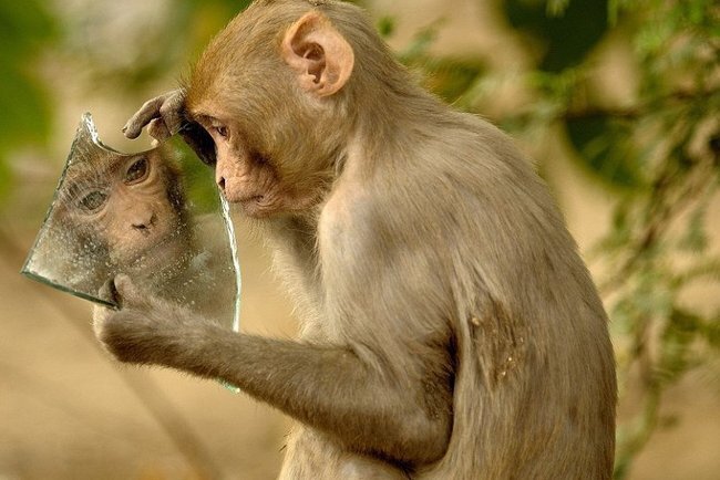 Составляю прогноз на год с разбивкой по месяцам, а также анализирую Жизненные циклы , даю рекомендации.