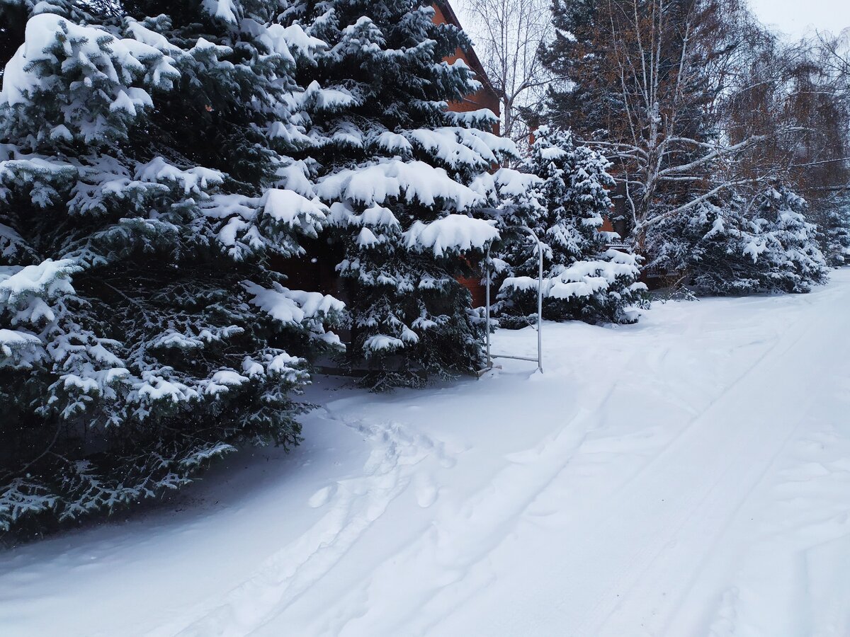 15 февраля 2021 года