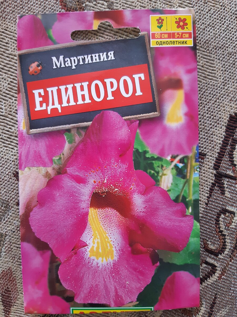 Такая вот "красавица"