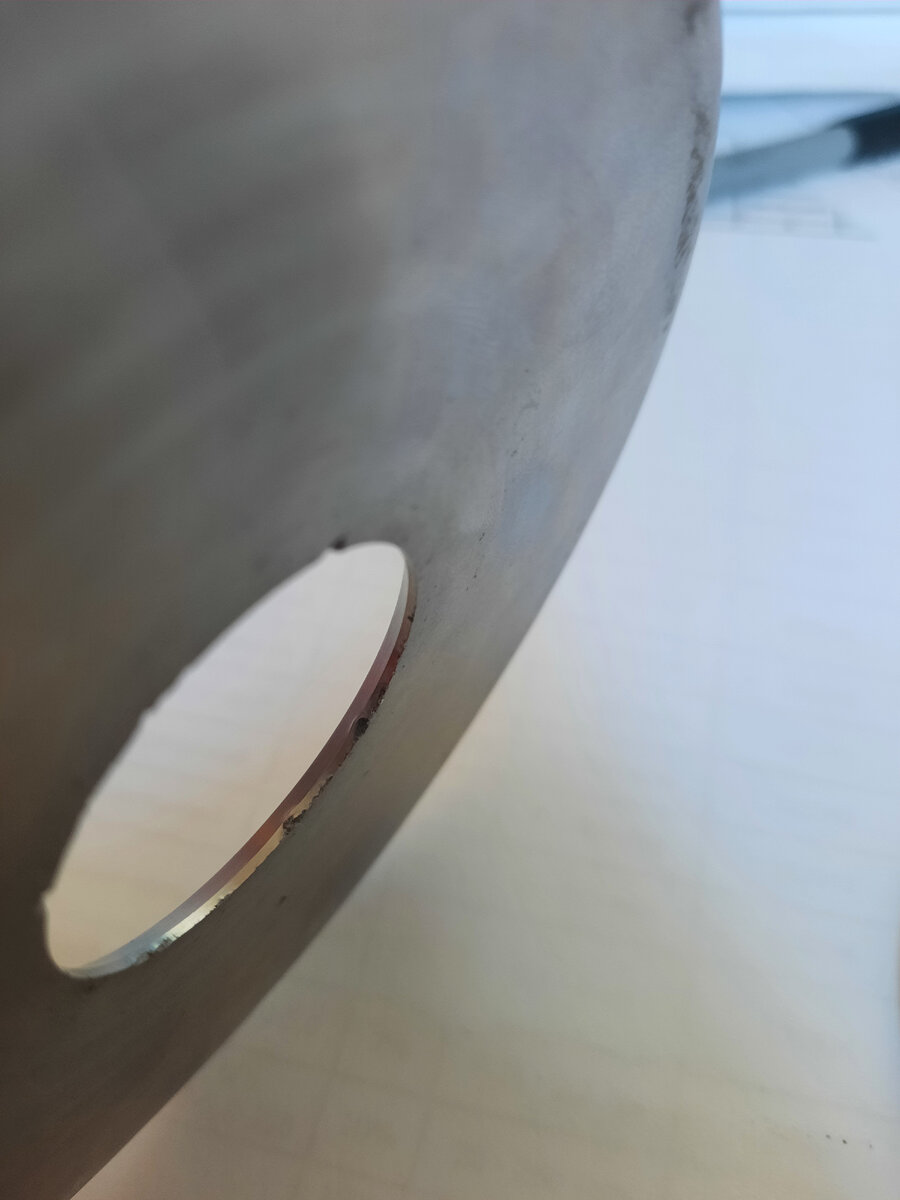 Короеды погрызли. Фото автора