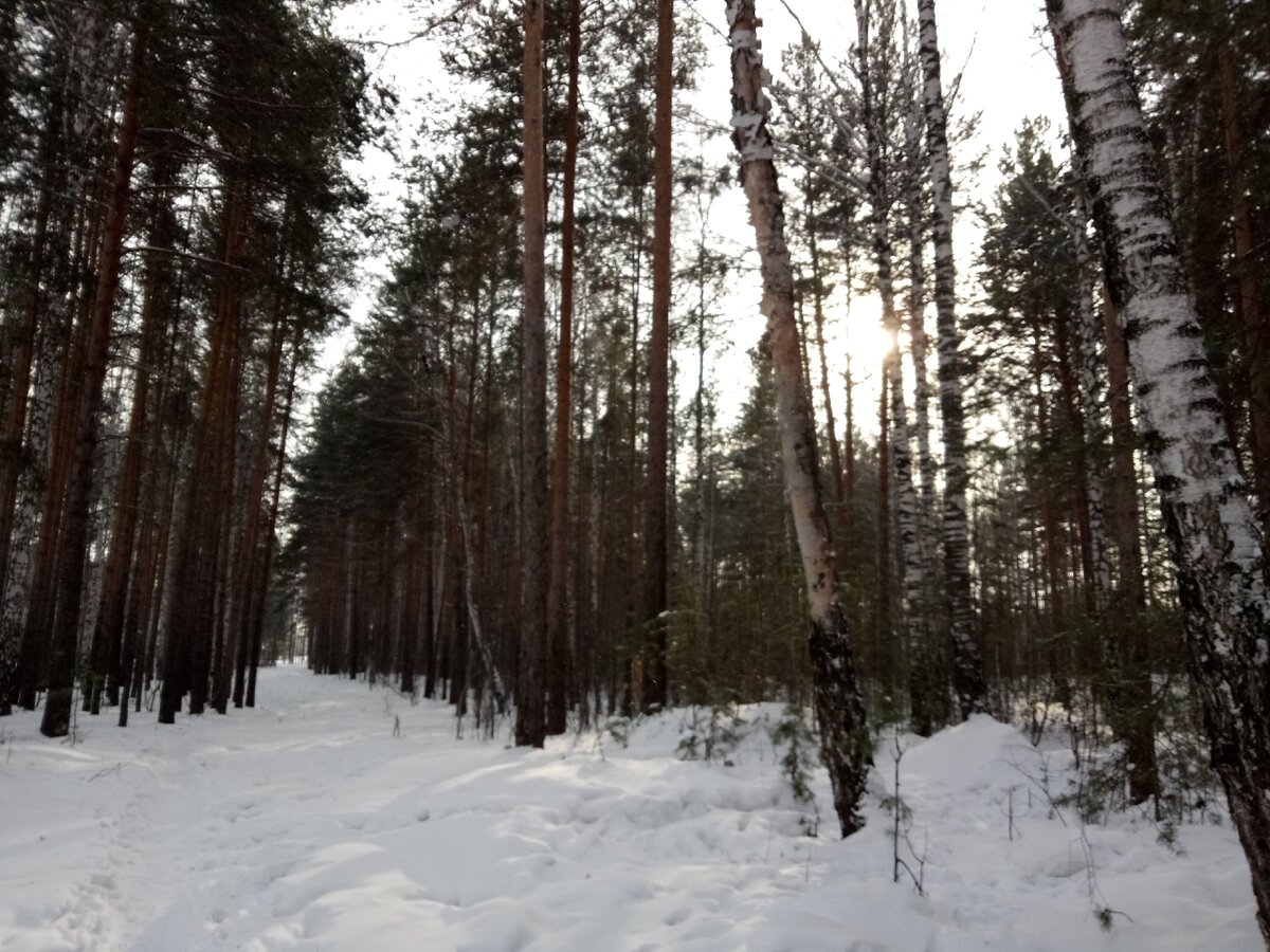 Температура за бортом -21, волосы примерзли к шапке. Мороз и солнце.