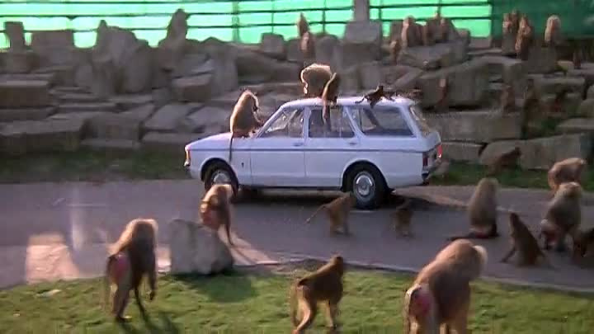 Кадры из фильма. Источник фото:  https://bit.ly/2NLt816