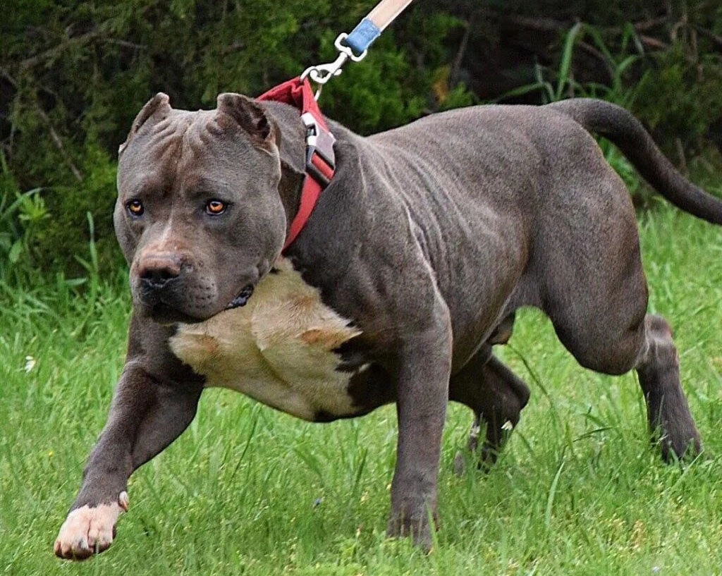 Источник фото – сайт: https://clck.ru/TpyKK