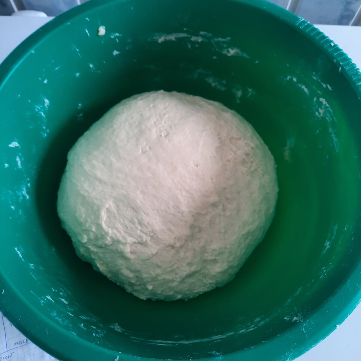 тесто на пельмени и чебуреки