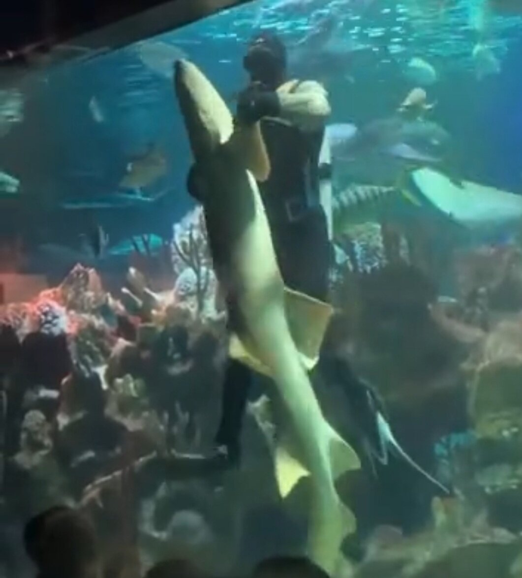 Картинка из поисковой системы Яндекса