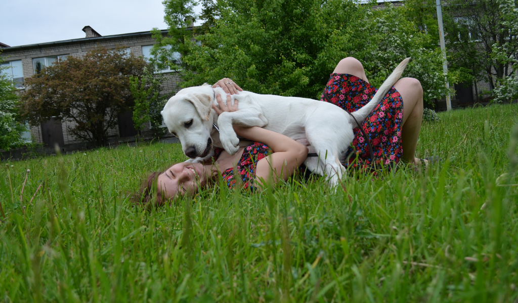 Наше шило. Нет спасения. Зацелует до смерти.