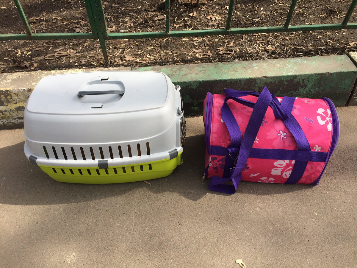 Ждём такси. Фото автра