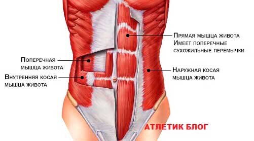 Почему наши ноги устают быстрее, чем сбивается дыхание, и что с этим делать