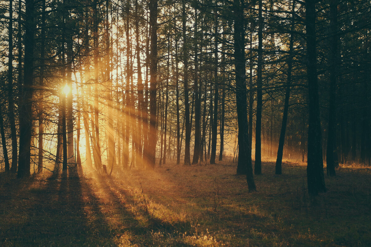 Photo by Timothy Eberly on Unsplash