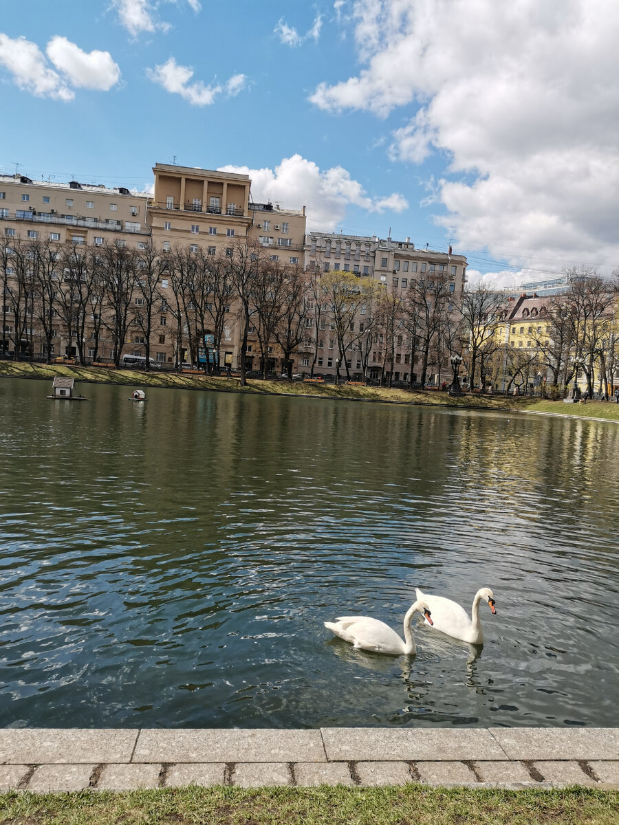 Патриаршие пруды 