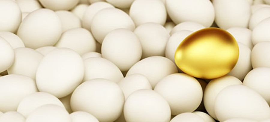 Фотография взята из источника present5.com