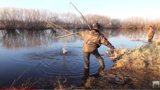 Сибирский странник рыбалка 2023 года видео. Кривда снасть. Кривда для рыбалки. Рыбачим на кривду. Ловля на кривду.