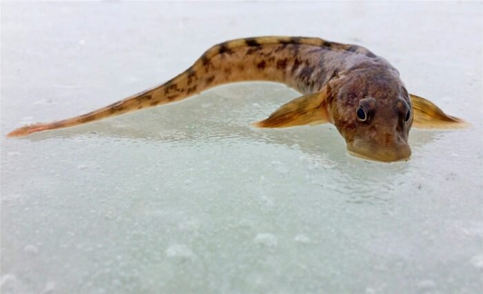 Источник: интернет