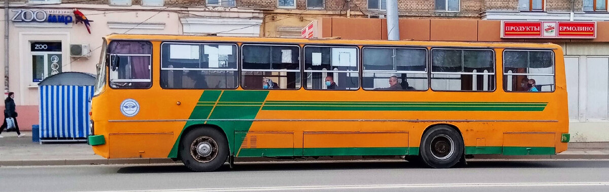 Фото автора.