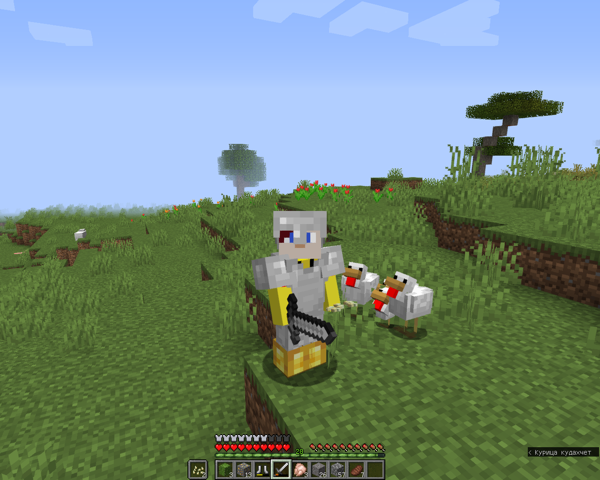 Погонщик куриц MVA Gamer. Хорошо что они не понимают, что с ними будет в дальнейшем...