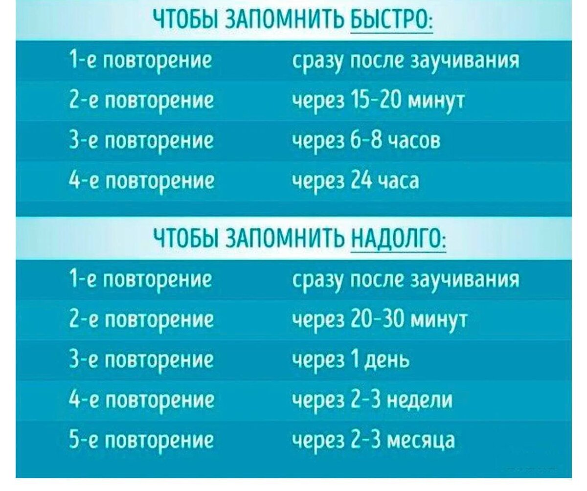 Как быстро и надолго выучить материал. | Лайфхаки – на все случаи жизни |  Дзен