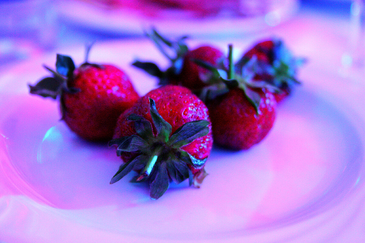 личный архив