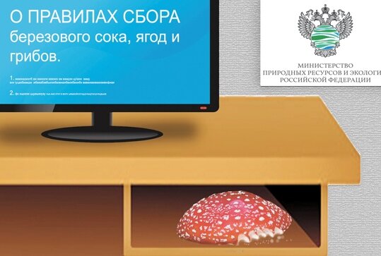 Из источников Интернет