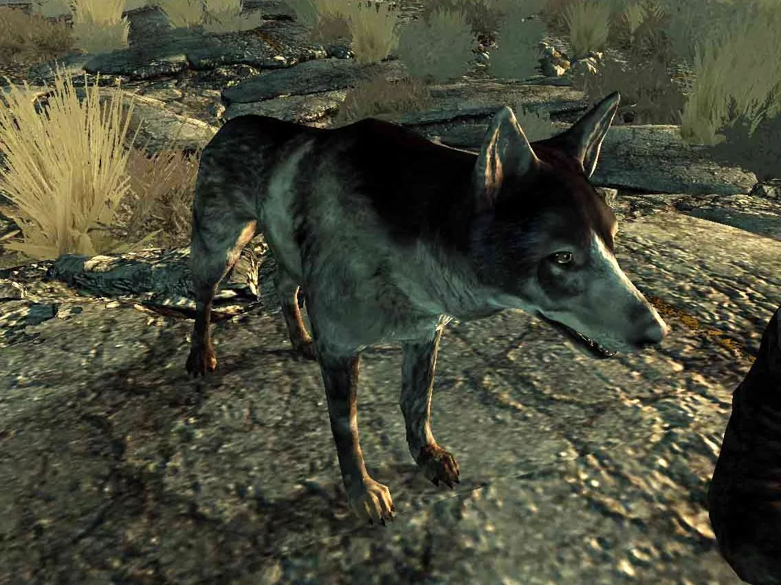 как найти своего пса в fallout 4 фото 109