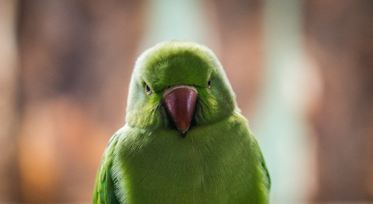 Фото Егор Камелев on Unsplash