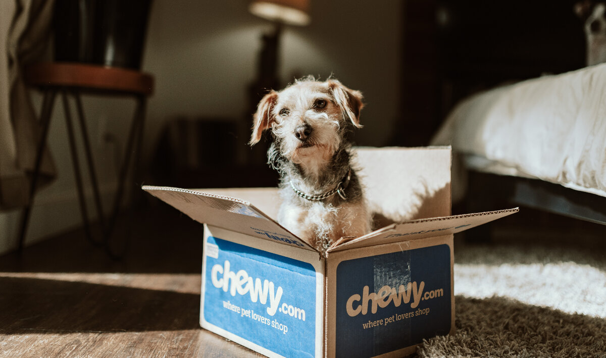 Фото Chewy на Unsplash