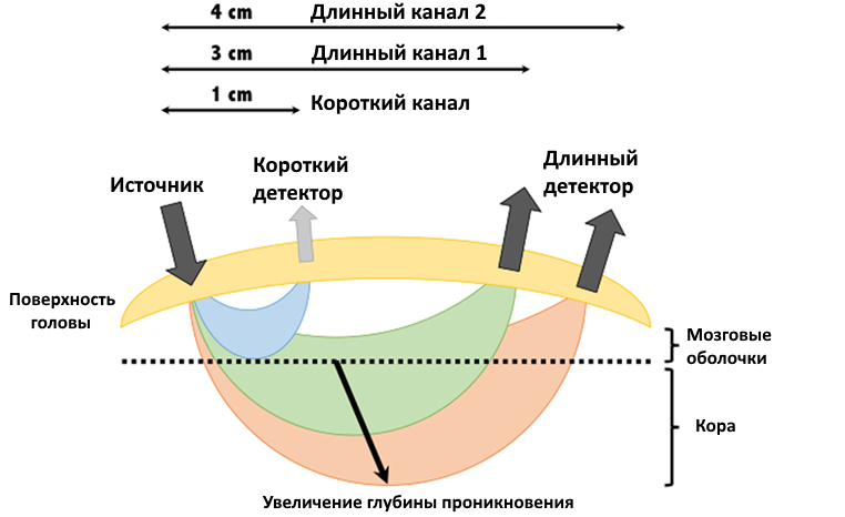 Схема работы канала NIRS, состоящего из излучателя двух длин волн и приемника. Чем больше расстояние от излучателя до приемника, тем глубже проникает свет и производятся измерения сатурации кислорода в крови