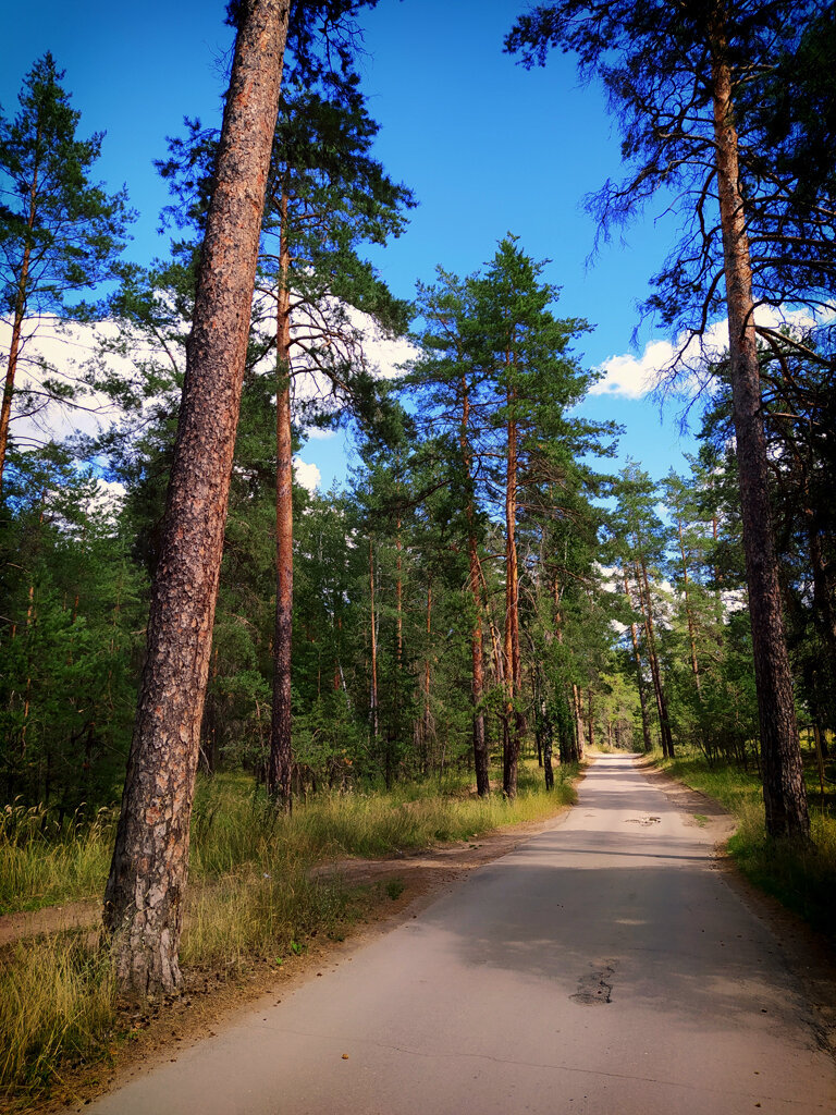 Только очень узкая дорога!
