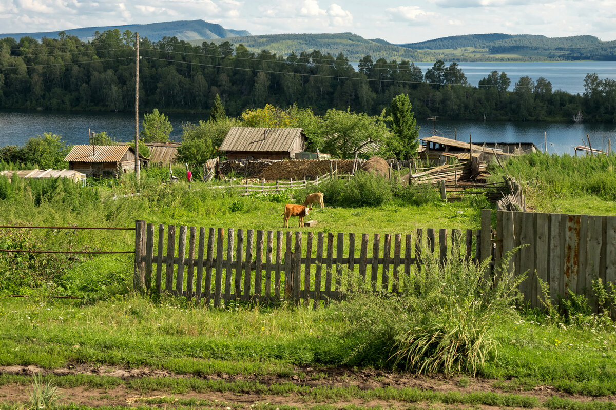 Жить в городах хуже, чем на селе — вдали от человеческой жестокости и  зависимости от власти» | IQ.HSE | Дзен