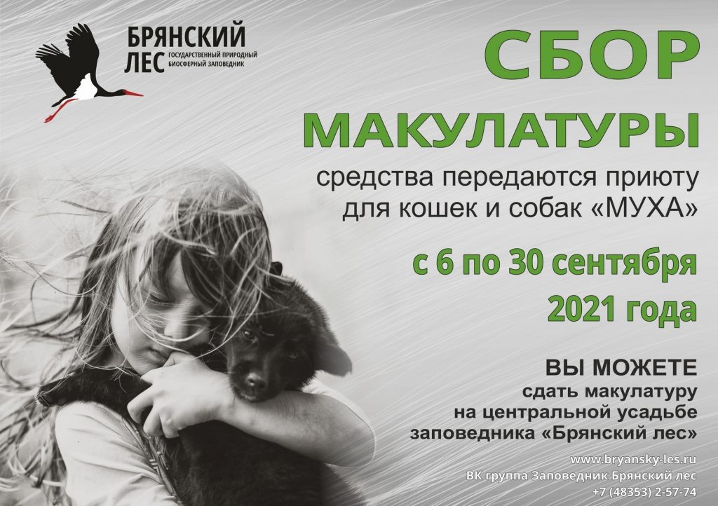 ФОТО: заповедник «Брянский лес»