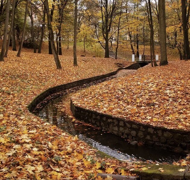 Палая листва бесплатная