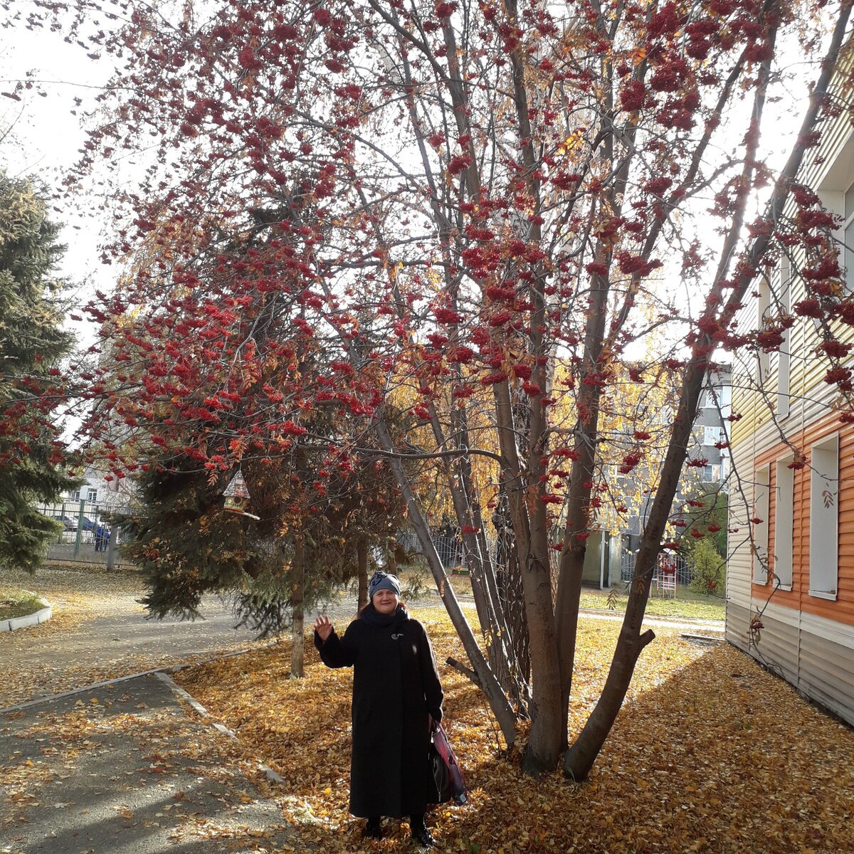 Ну Здраствуй Дзен , а это я.