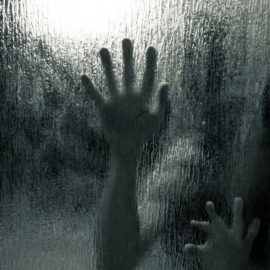 Фотоизображение взято из открытых интернет - источников