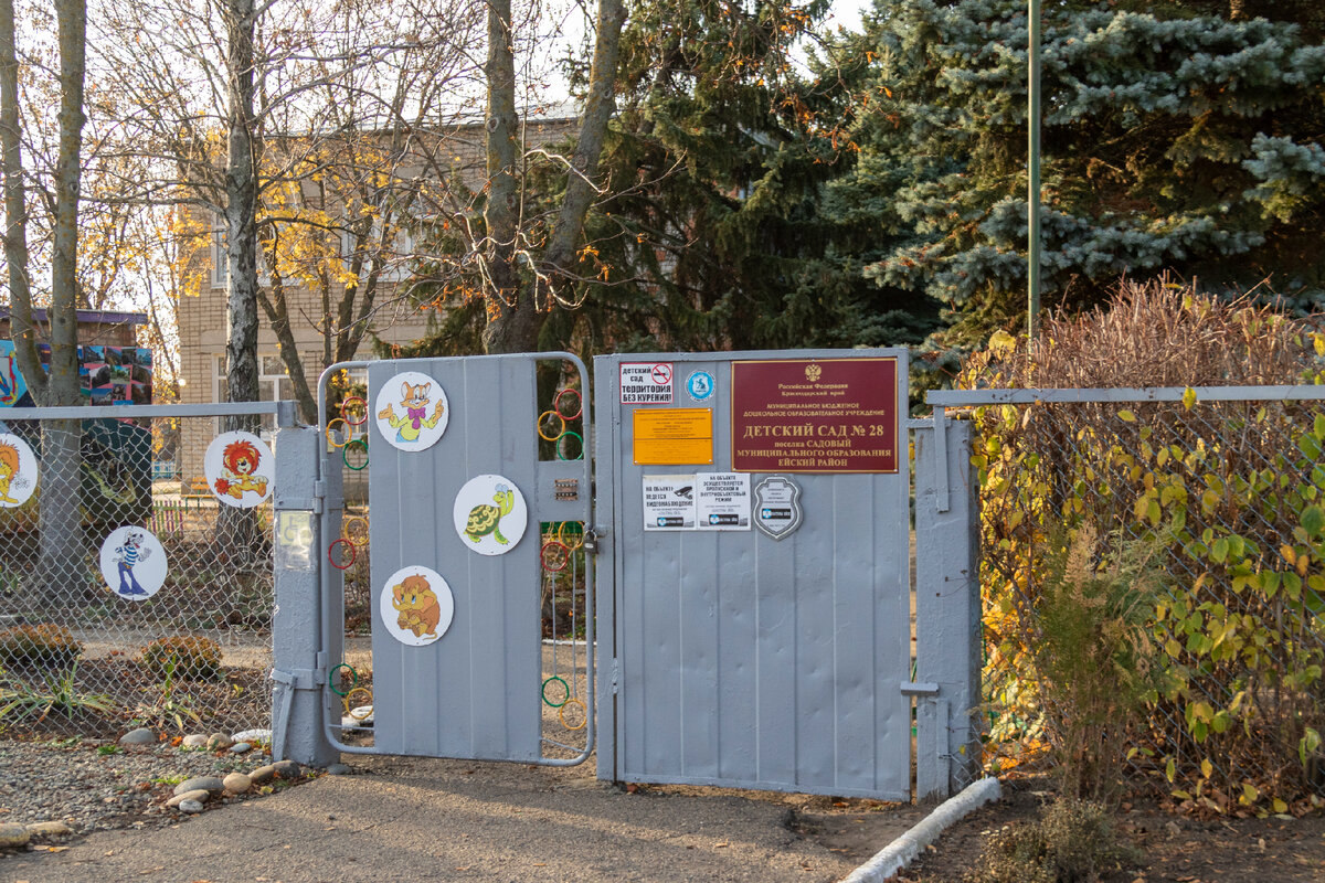 Посёлок Садовый: 15 человек положили здесь начало преображению Ейского  района | Южная жизнь | Дзен