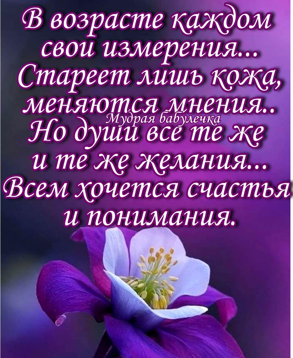 Фото из Яндекс картинки 