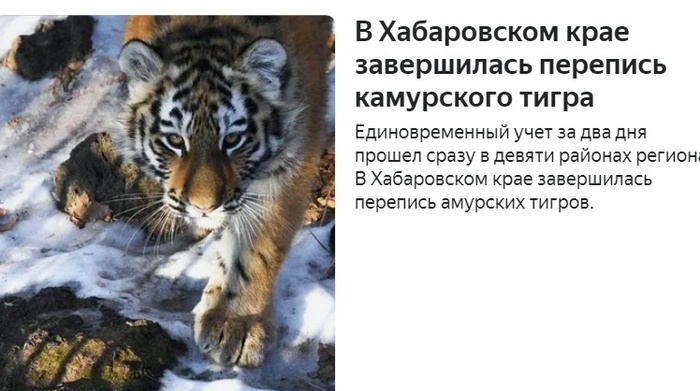 Фото: pixabay.com