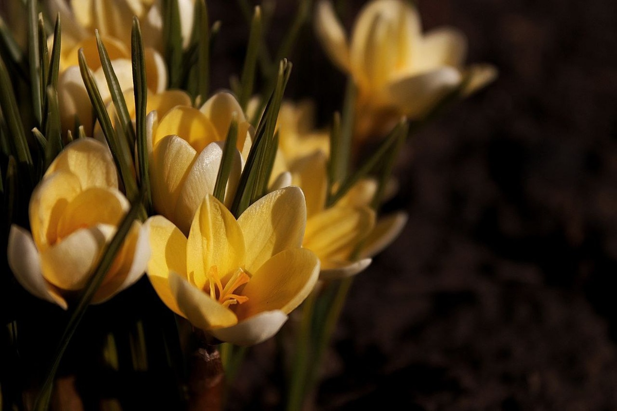 Фото Румянцева Филиппа