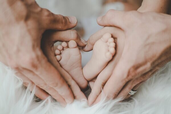 Фото: pixabay.com