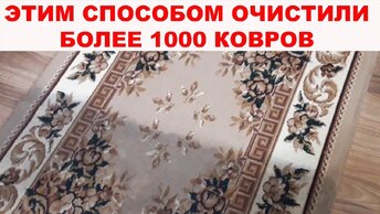 Как почистить ковер до идеального состояния. Более 1000 ковров спасены благодаря этому способу