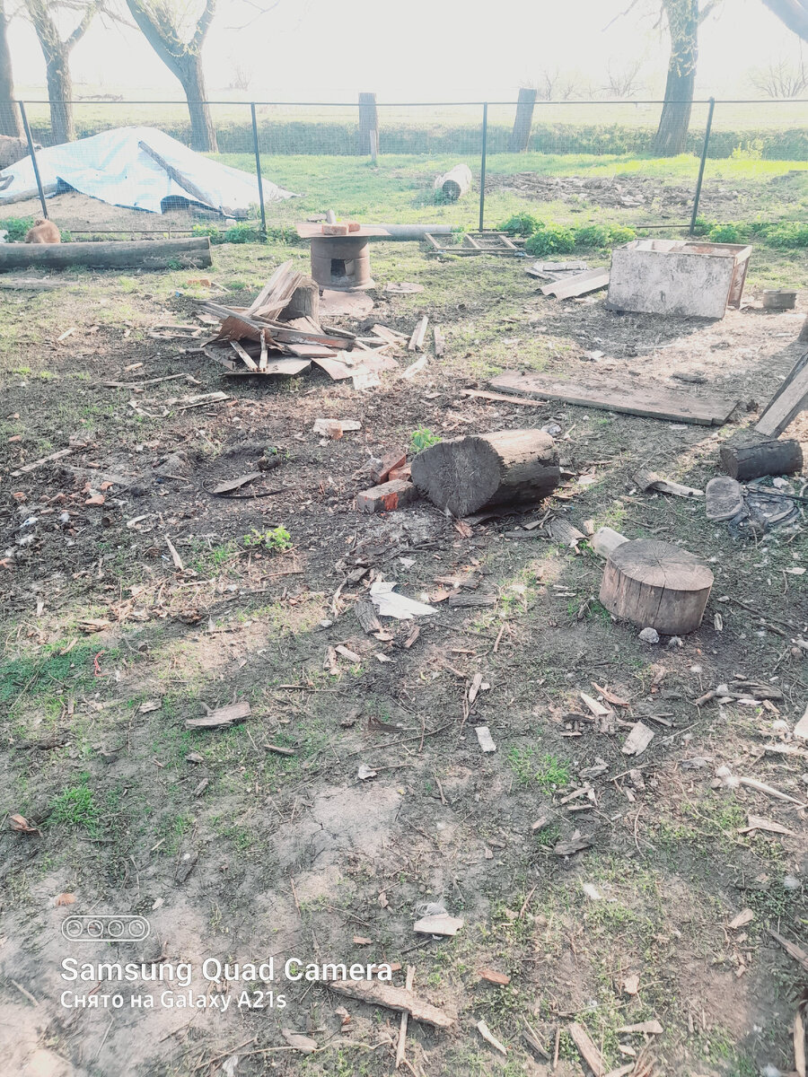 Перед домом 