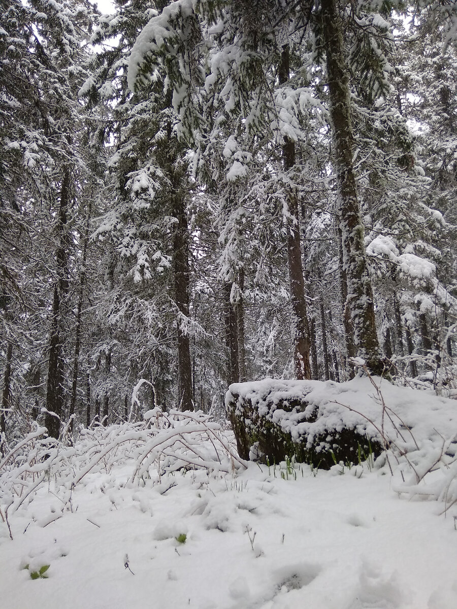 Новый вид из палатки