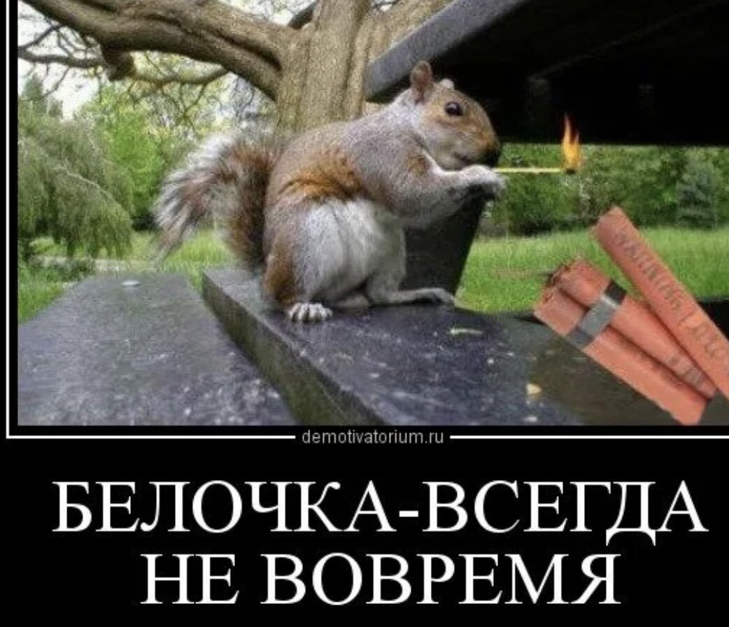 А могла быть такой)